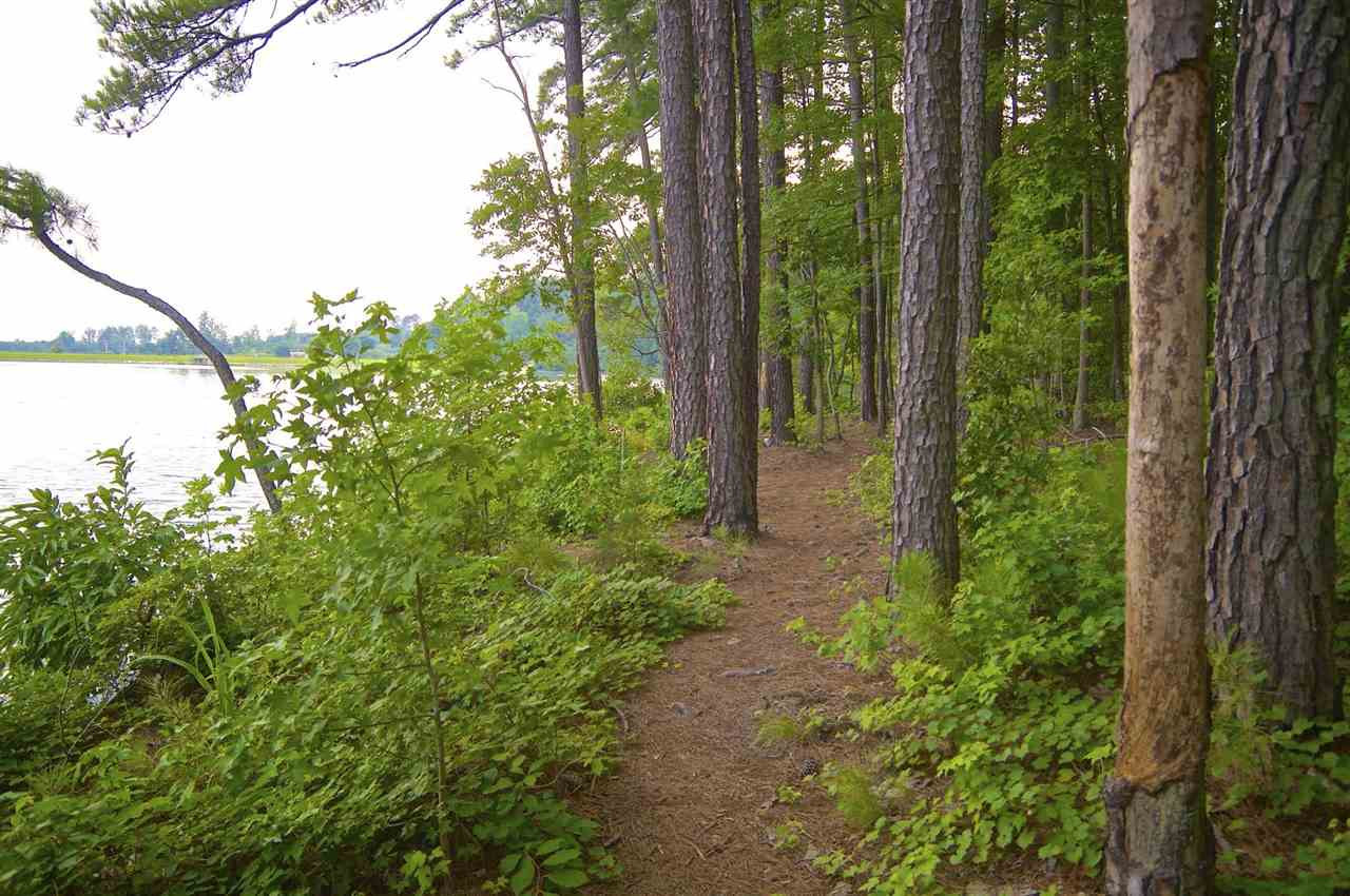 836 Wildflower Ridge Road Wake Forest, NC 27587 - Photo 30 of 30 Walking Trails
