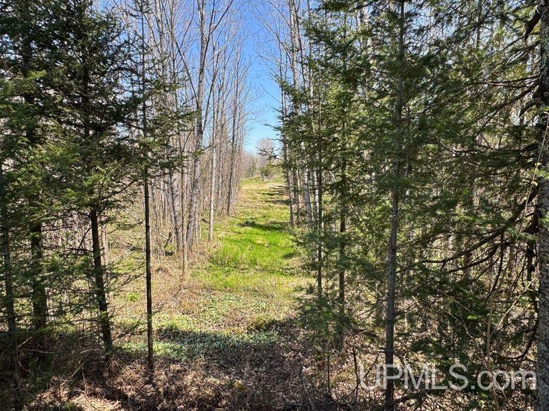 Tbd East Maple Ridge Road Rapid River, MI 49878 - Photo 15 of 23