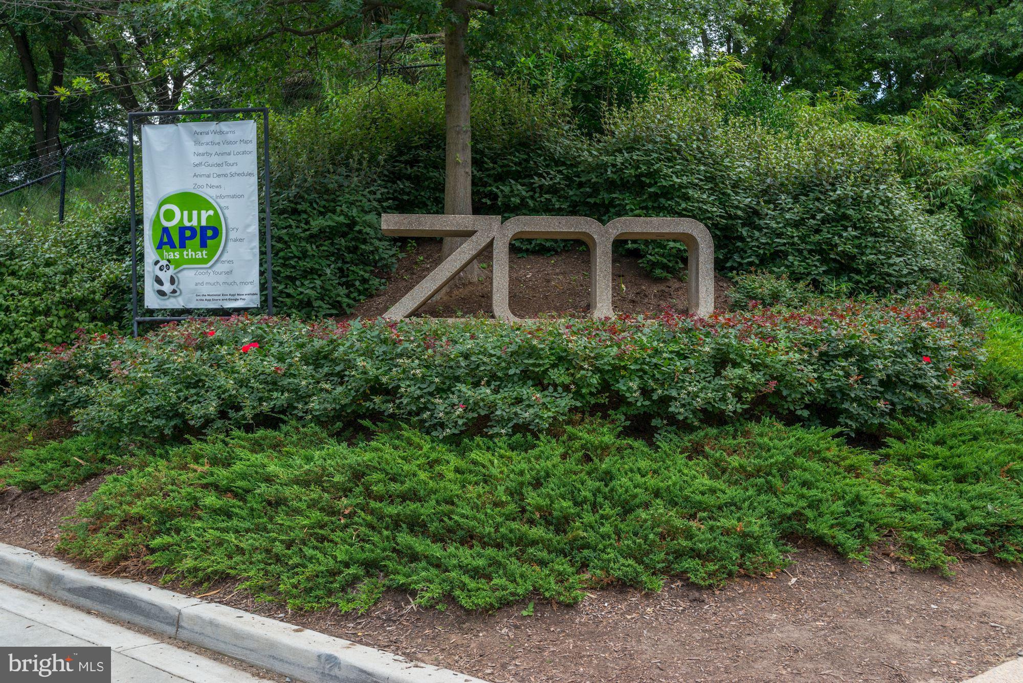 2833 29th Place Northwest Washington, DC 20008 - Photo 41 of 42 The Zoo