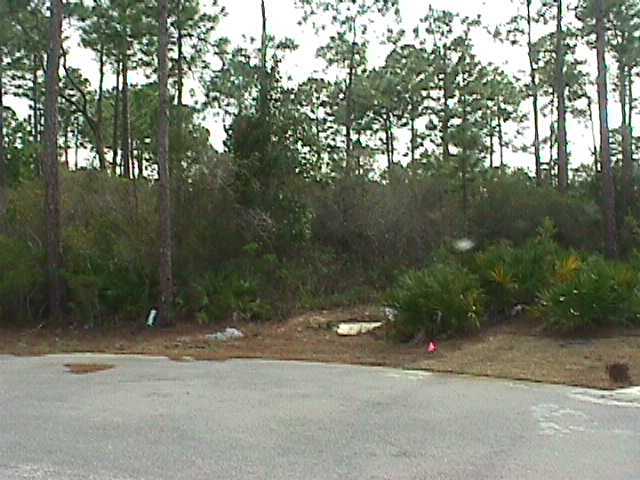 Lot B11 Indigo Loop Destin, FL 32550 - Photo 1 of 1 Gallery Image 1