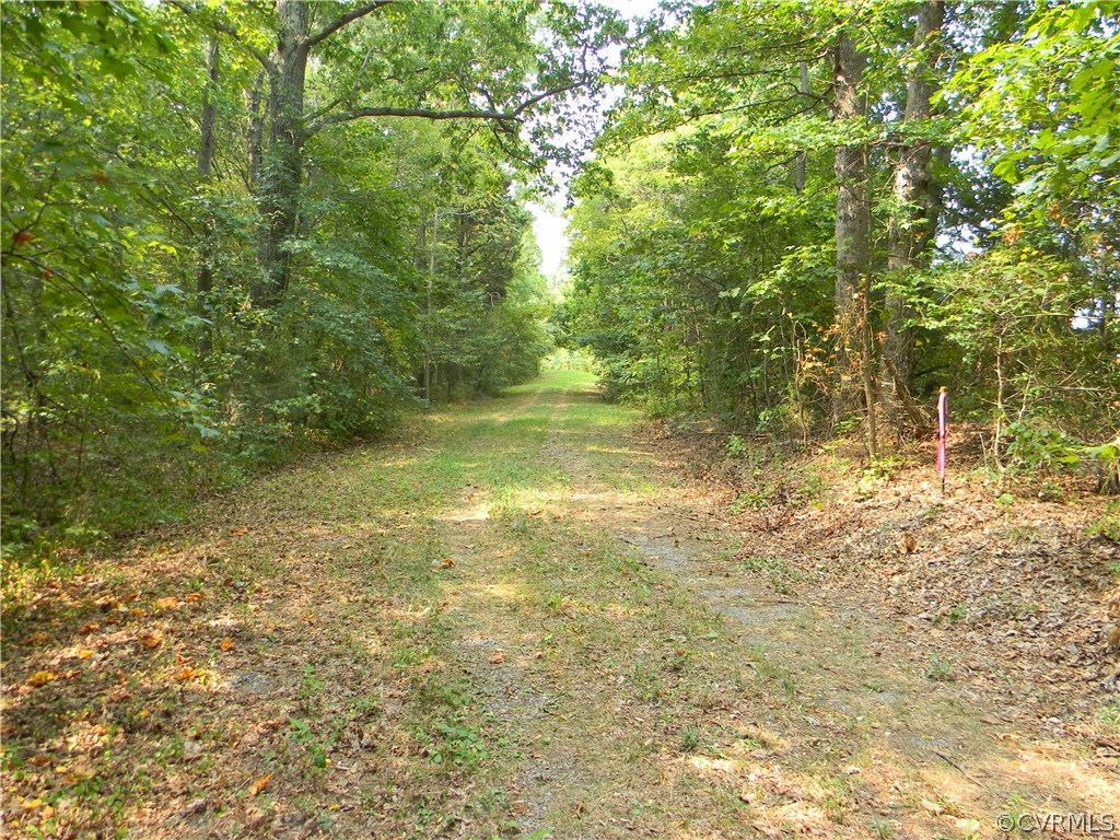 6000 Broad St Road Louisa, VA 23093 - Photo 24 of 24