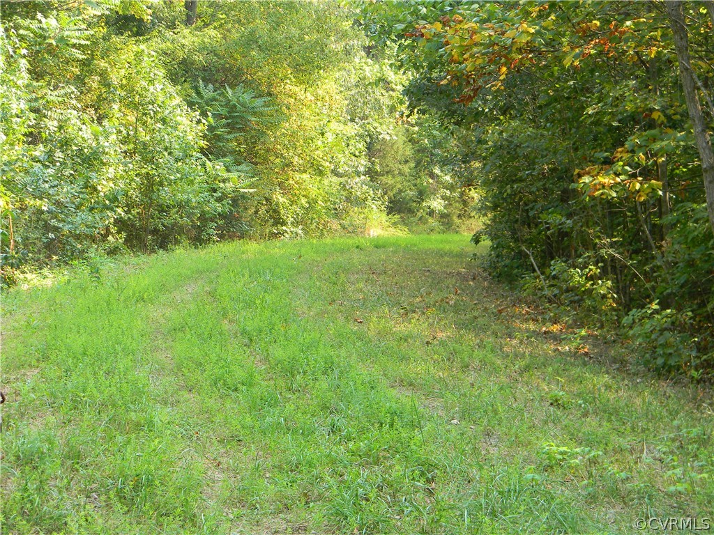 6000 Broad St Road Louisa, VA 23093 - Photo 3 of 24