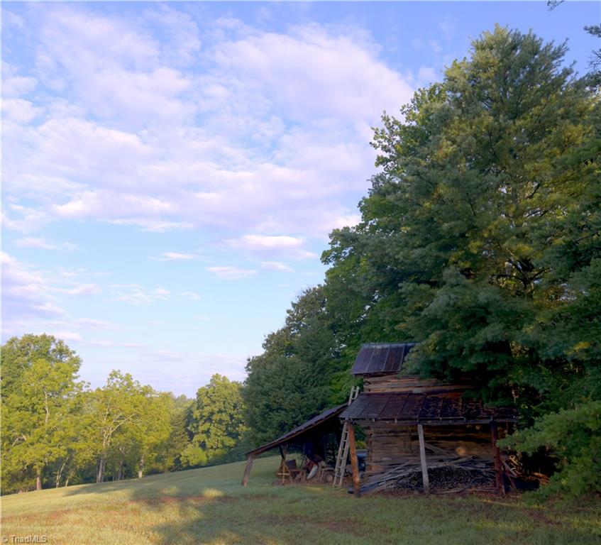 2541 Collinstown Road Westfield, NC 27053 - Photo 44 of 50