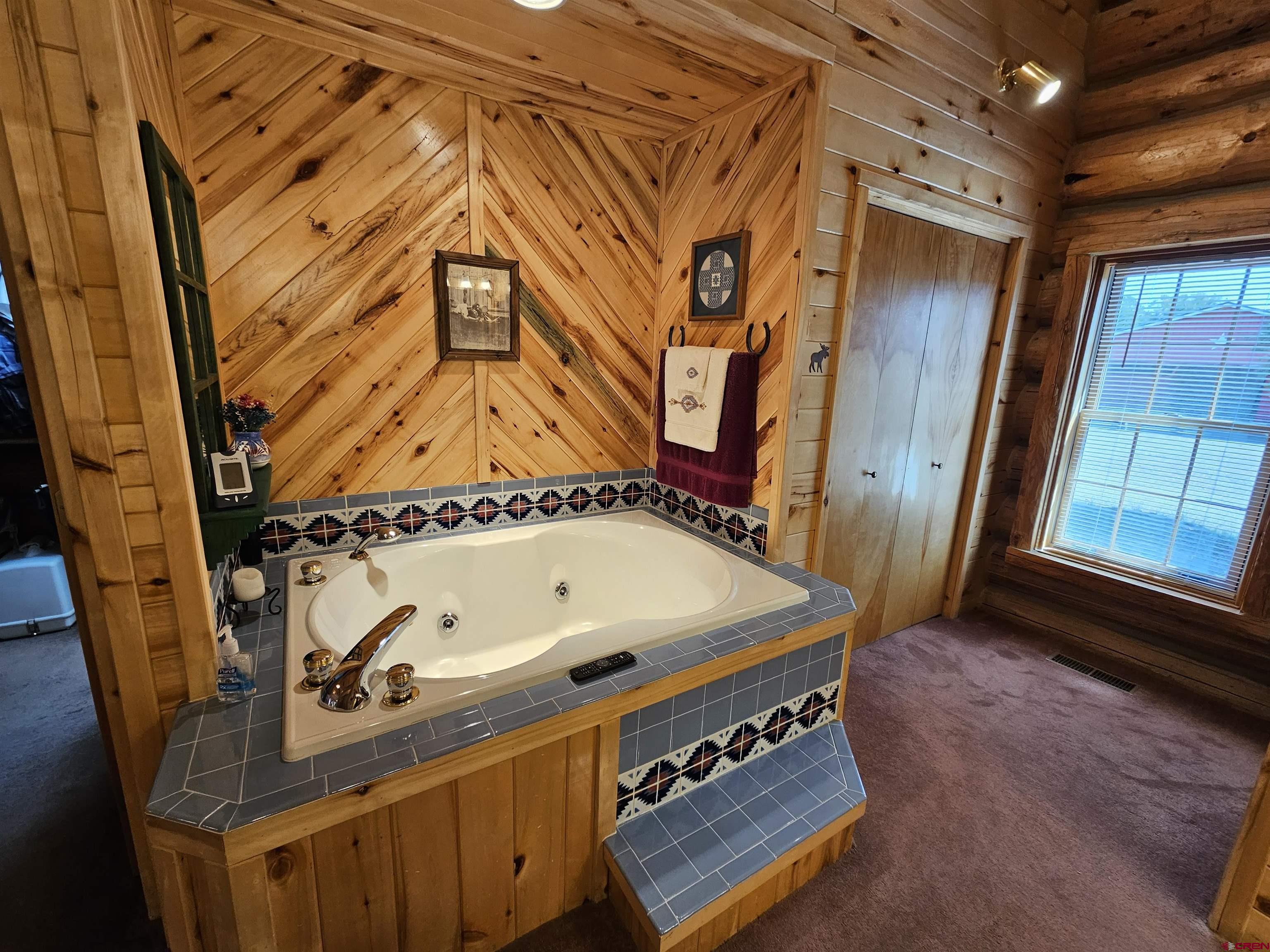 212 Pleasant Drive Ridgway, CO 81432 - Photo 19 of 35 a room with blue painted walls