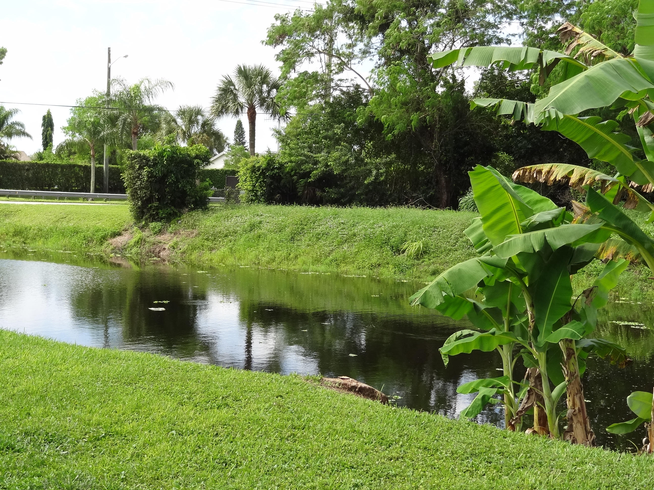9805 Alaska Circle Boca Raton, FL 33434 - Photo 8 of 23 CANAL LOT