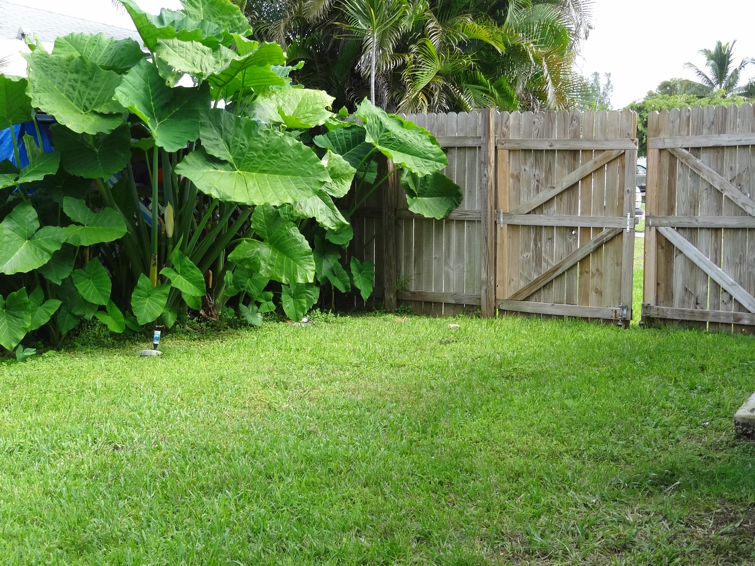 9805 Alaska Circle Boca Raton, FL 33434 - Photo 9 of 23 ADDITIONAL SIDE YARD W/DOUBLE FENCE