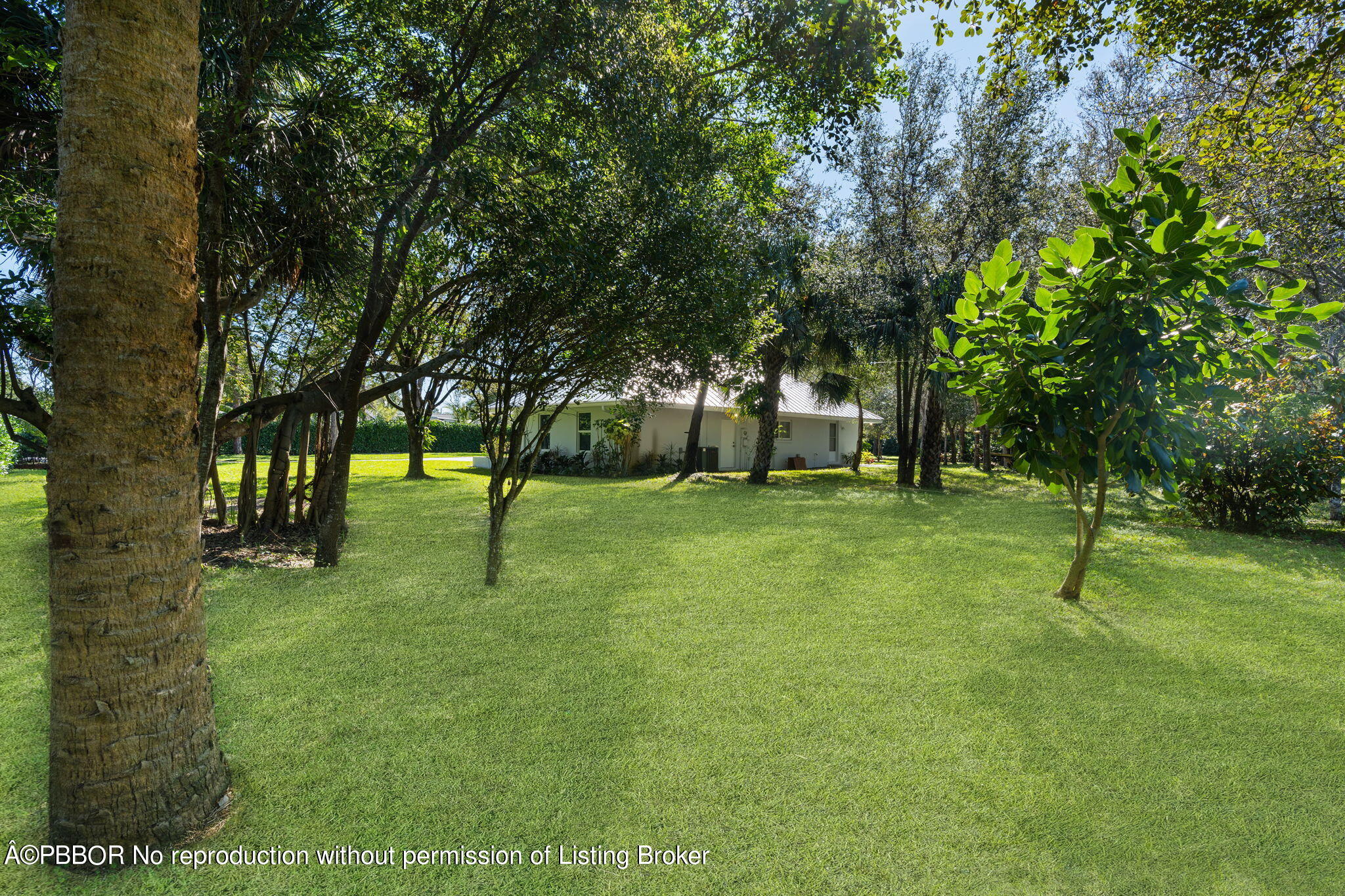 5608 Old Fort Jupiter Road Jupiter, FL 33458 - Photo 41 of 59 a green field with lots of trees