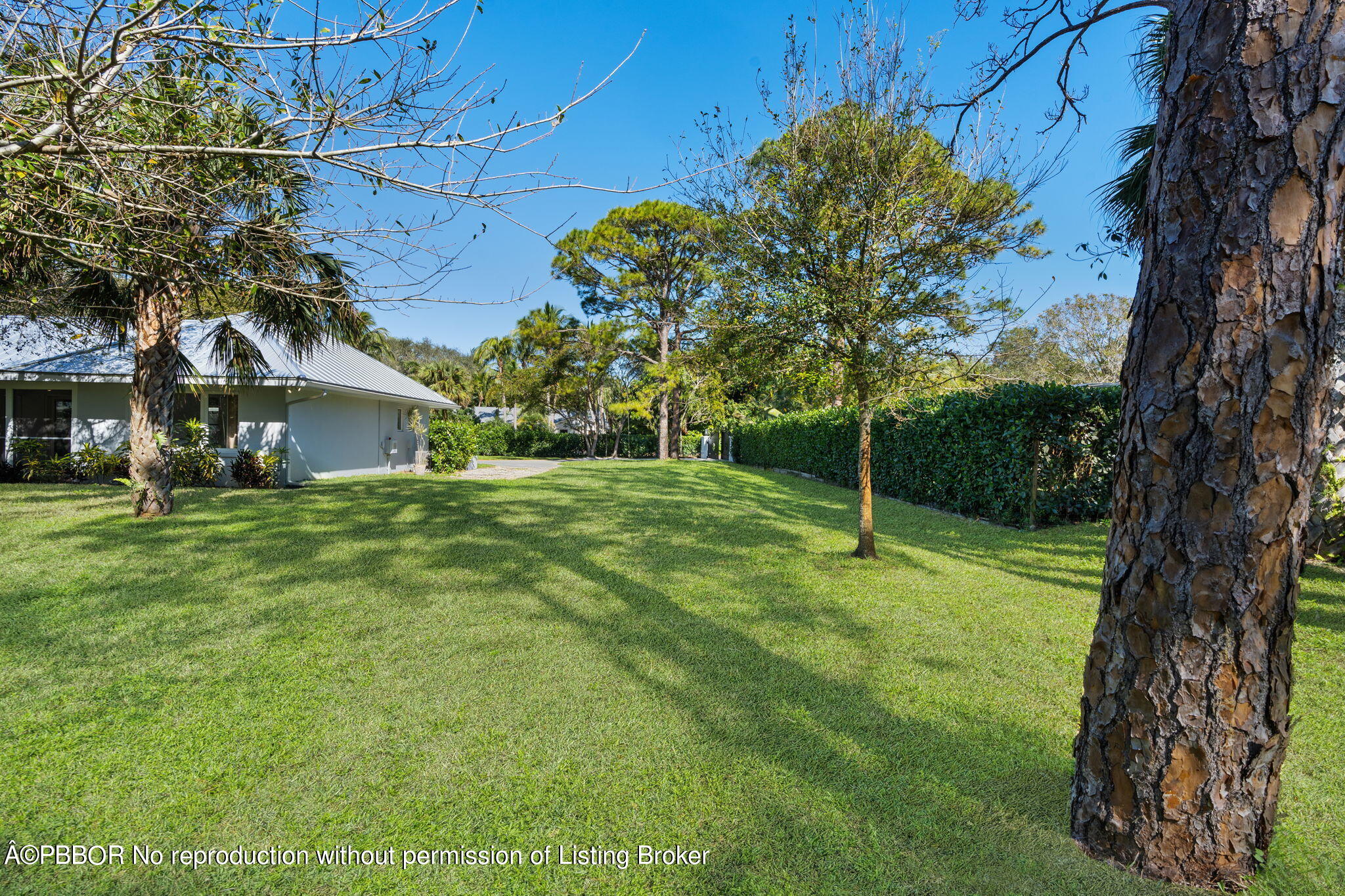 5608 Old Fort Jupiter Road Jupiter, FL 33458 - Photo 42 of 59 a backyard of a house with plants and large tree