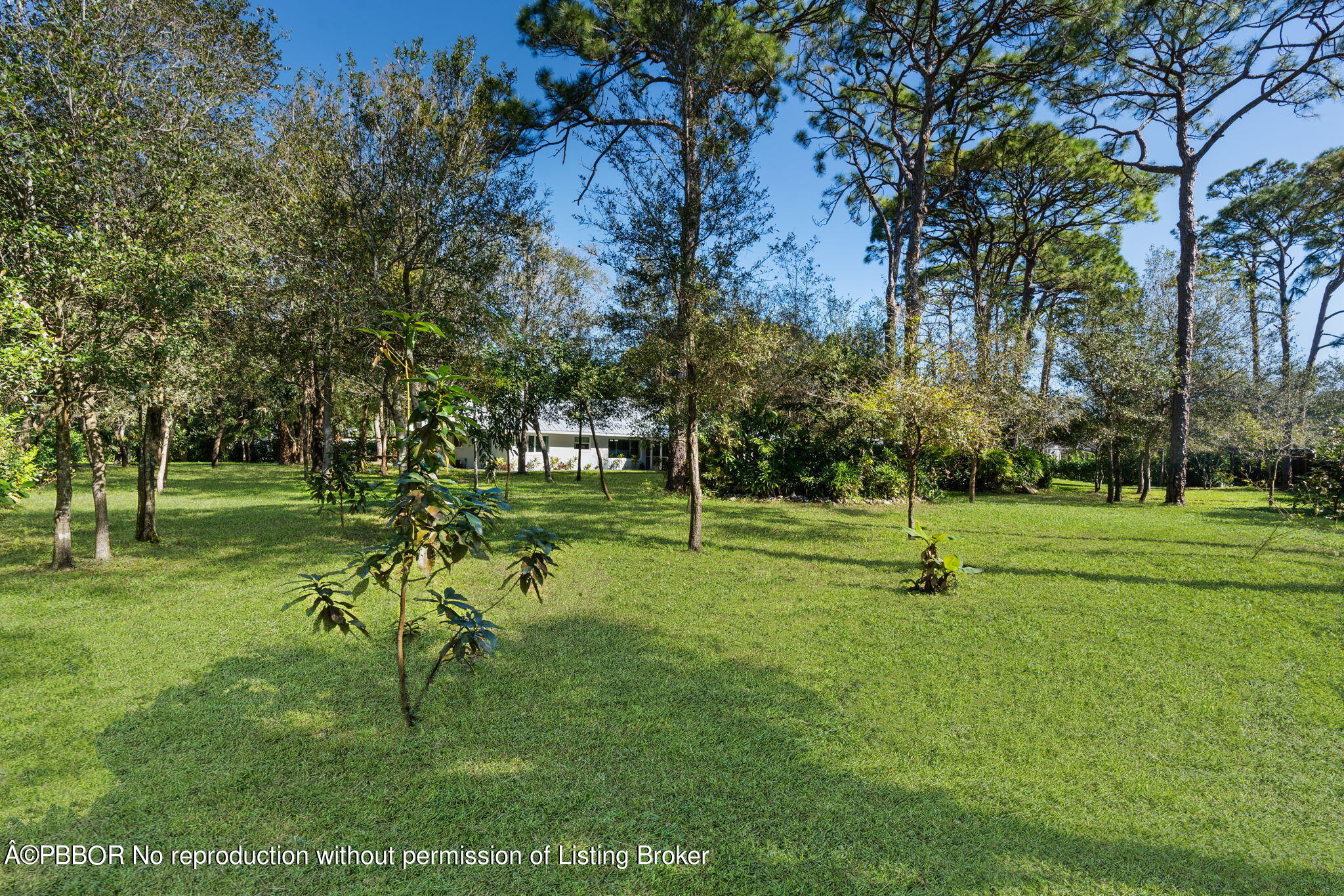 5608 Old Fort Jupiter Road Jupiter, FL 33458 - Photo 44 of 59 a view of a park