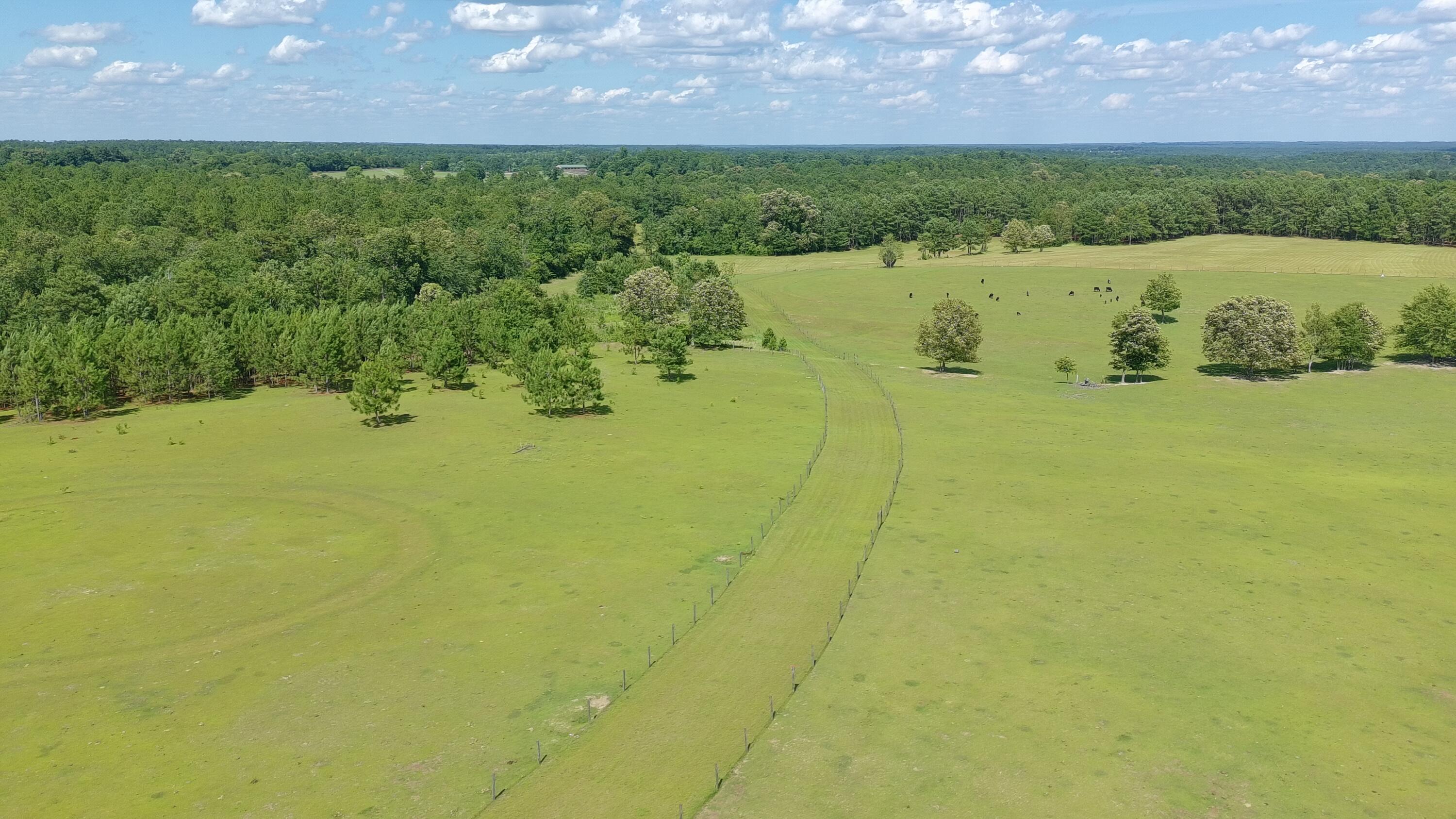 41-acres Whiskey Road Aiken, SC 29803 - Photo 4 of 44