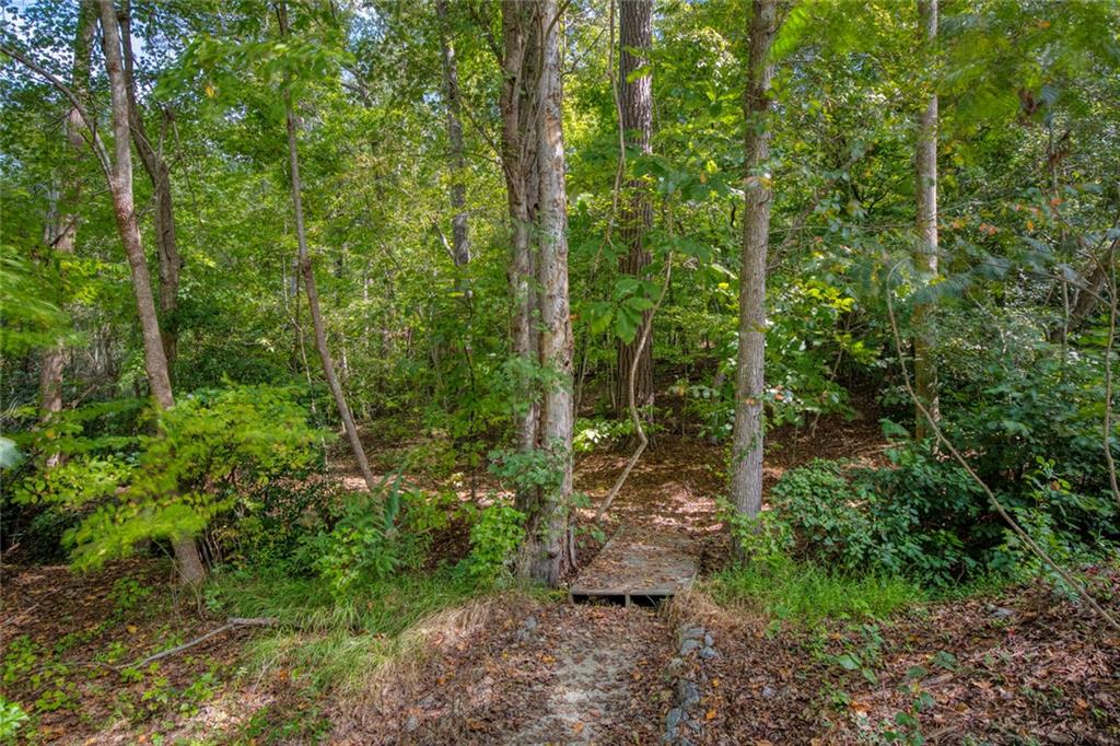 715 Winterwind Way Roswell, GA 30075 - Photo 73 of 83 a view of forest