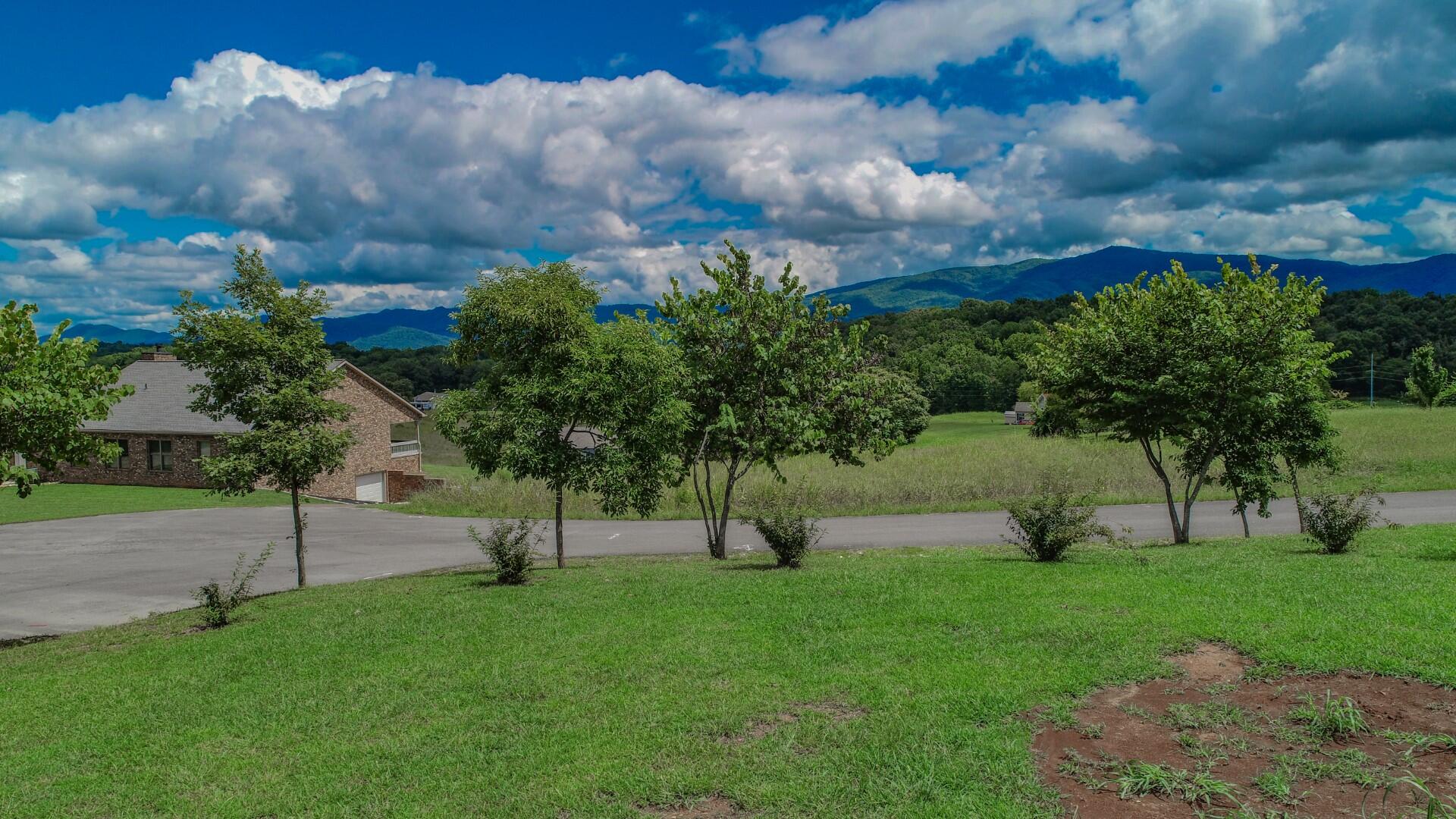 Cozy Road Newport, TN 37821 - Photo 22 of 40 18