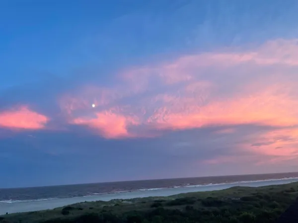 a kitchen with cabinets stainless steel appliances and wooden floor