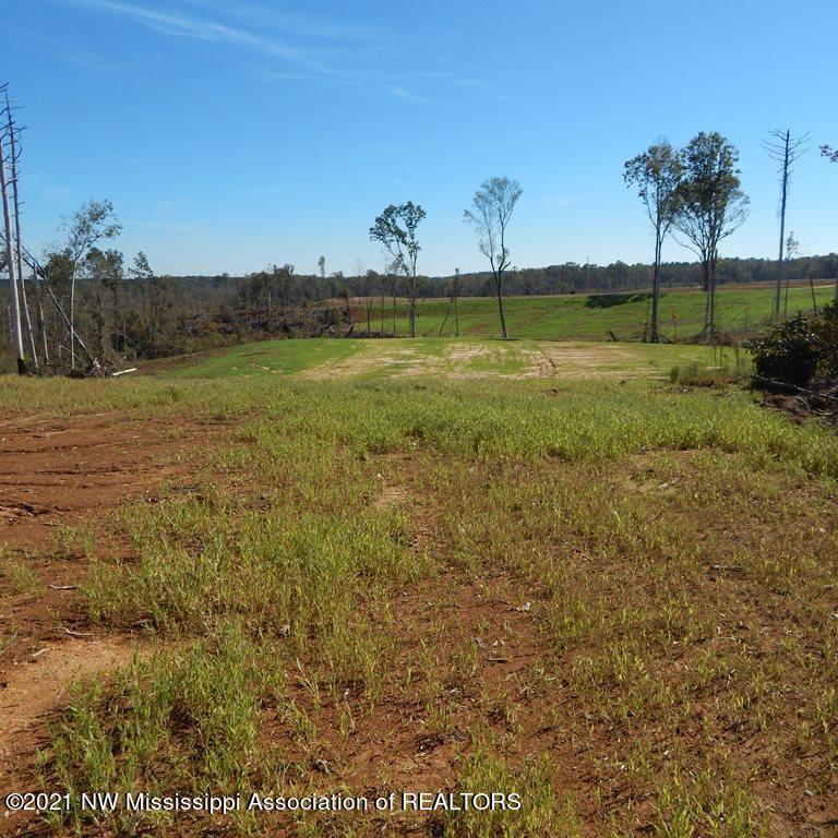 6435 Pea Ridge Road Grenada, MS 38901 - Photo 3 of 13