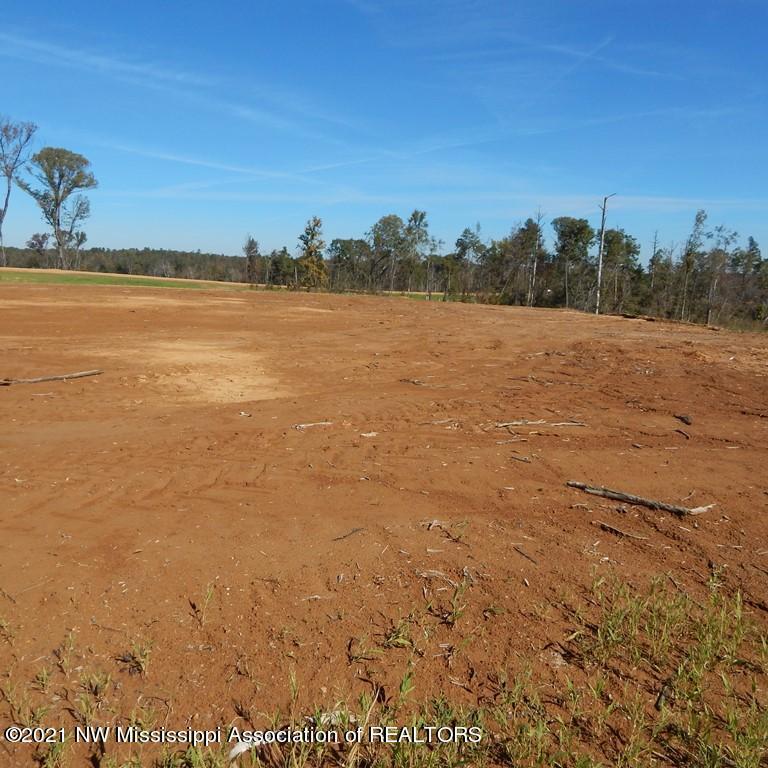 6435 Pea Ridge Road Grenada, MS 38901 - Photo 4 of 13