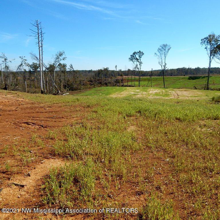 6435 Pea Ridge Road Grenada, MS 38901 - Photo 5 of 13