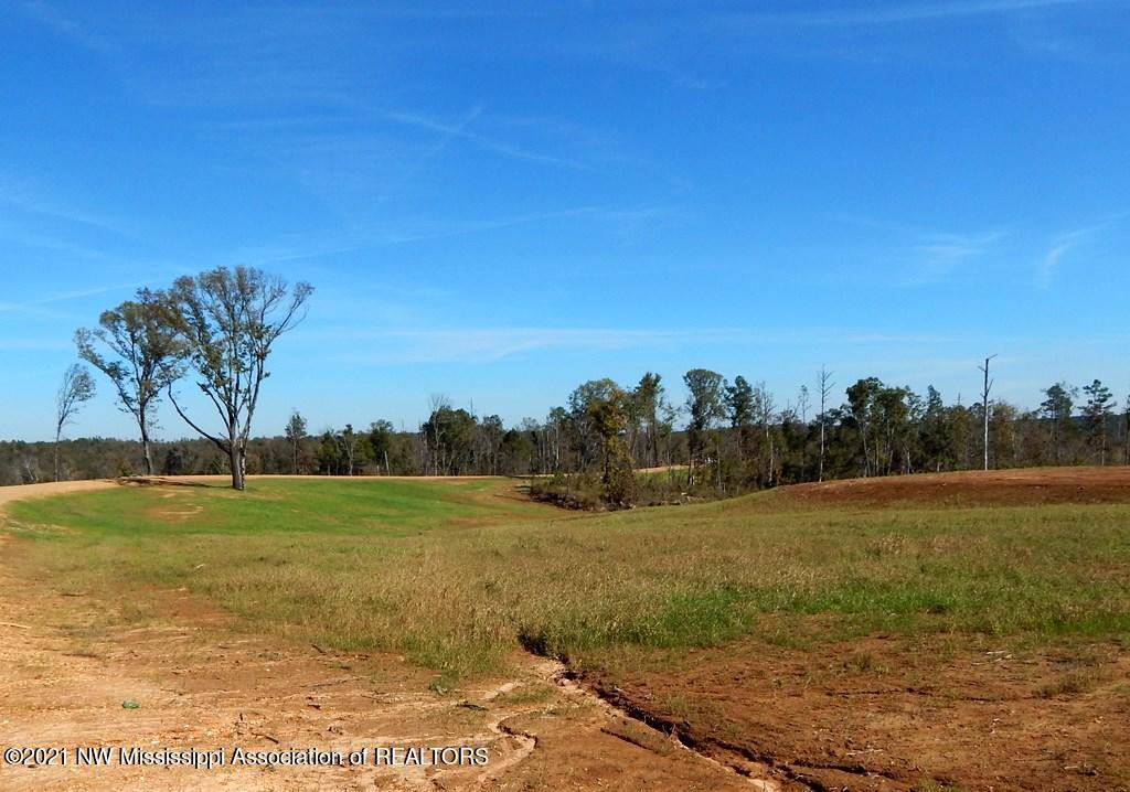 6435 Pea Ridge Road Grenada, MS 38901 - Photo 6 of 13