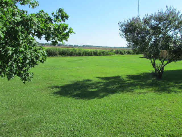 8781 Shannon's Mill Road Foley, AL 36535 - Photo 15 of 17 Backyard