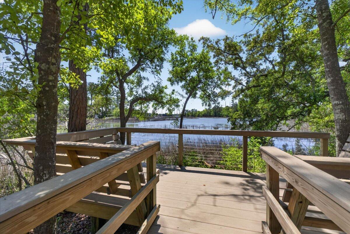 1205 Crooked Oak Road Charleston, SC 29492 - Photo 46 of 46 02-Square One Media - DSC02791 twilight