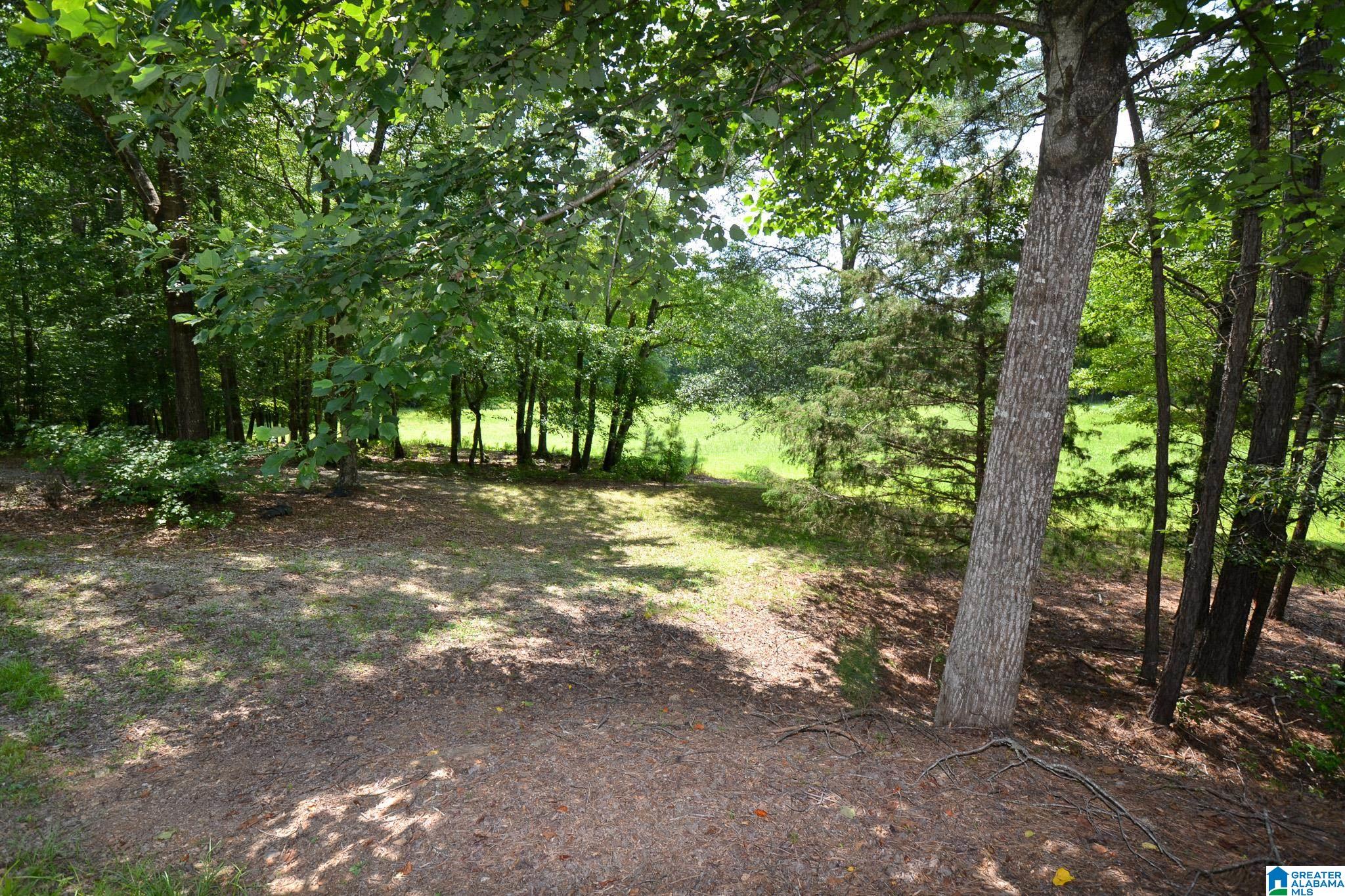 1540 Pepper Road, Unit 49 / ACRES Ashland, AL 36251 - Photo 5 of 31