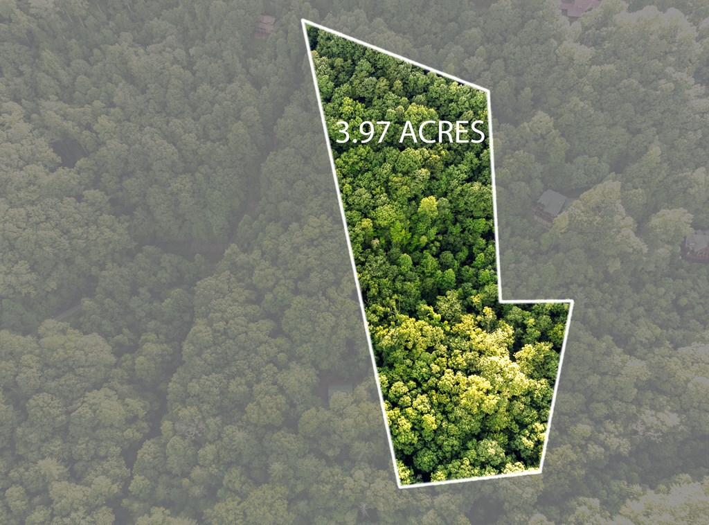 Lot 18 Cub Trail Cherry Log, GA 30522 - Photo 2 of 17
