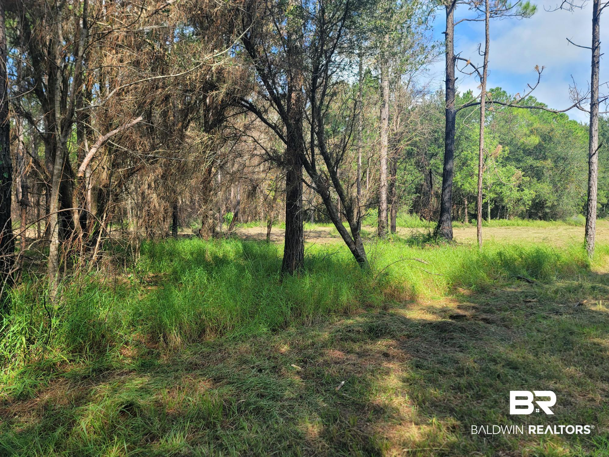 21373 Ima Brill Road Robertsdale, AL 36567 - Photo 23 of 25 Gallery Image 23