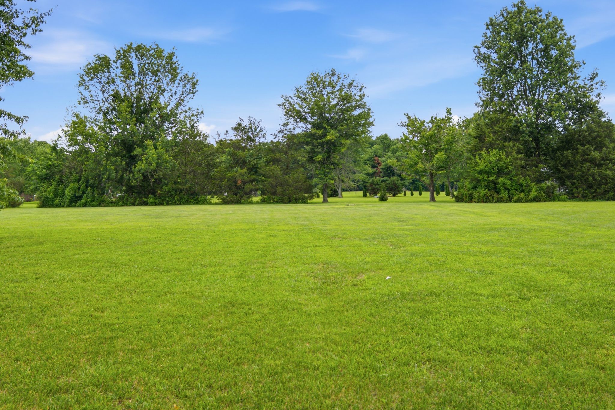 7301 West Cook Road Springfield, TN 37172 - Photo 44 of 48
