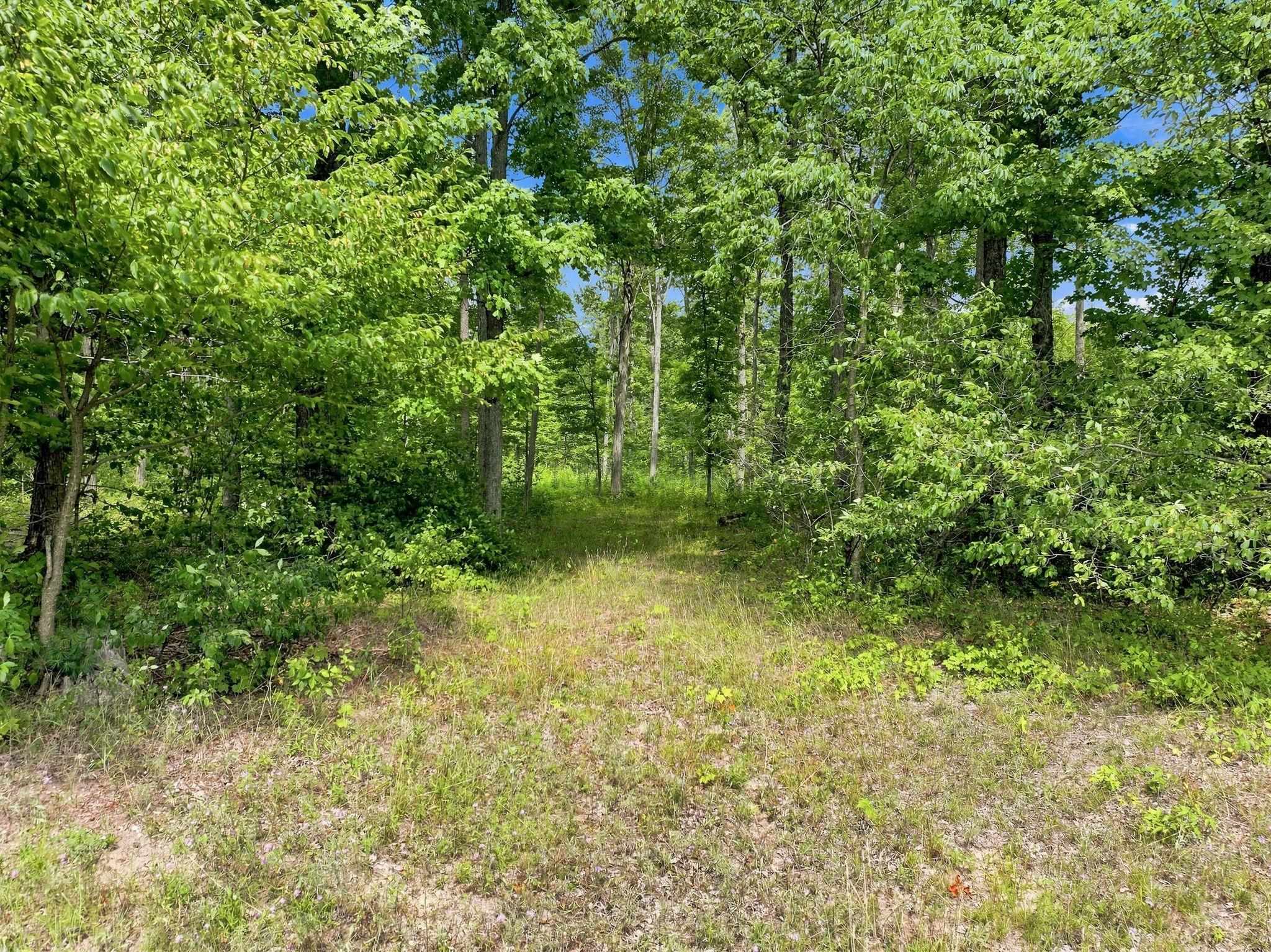 275 South 35 Road Cadillac, MI 49601 - Photo 35 of 47 1949376-0b57f439-7c53-4b48-80c9-2e3f0e049f43.JPG