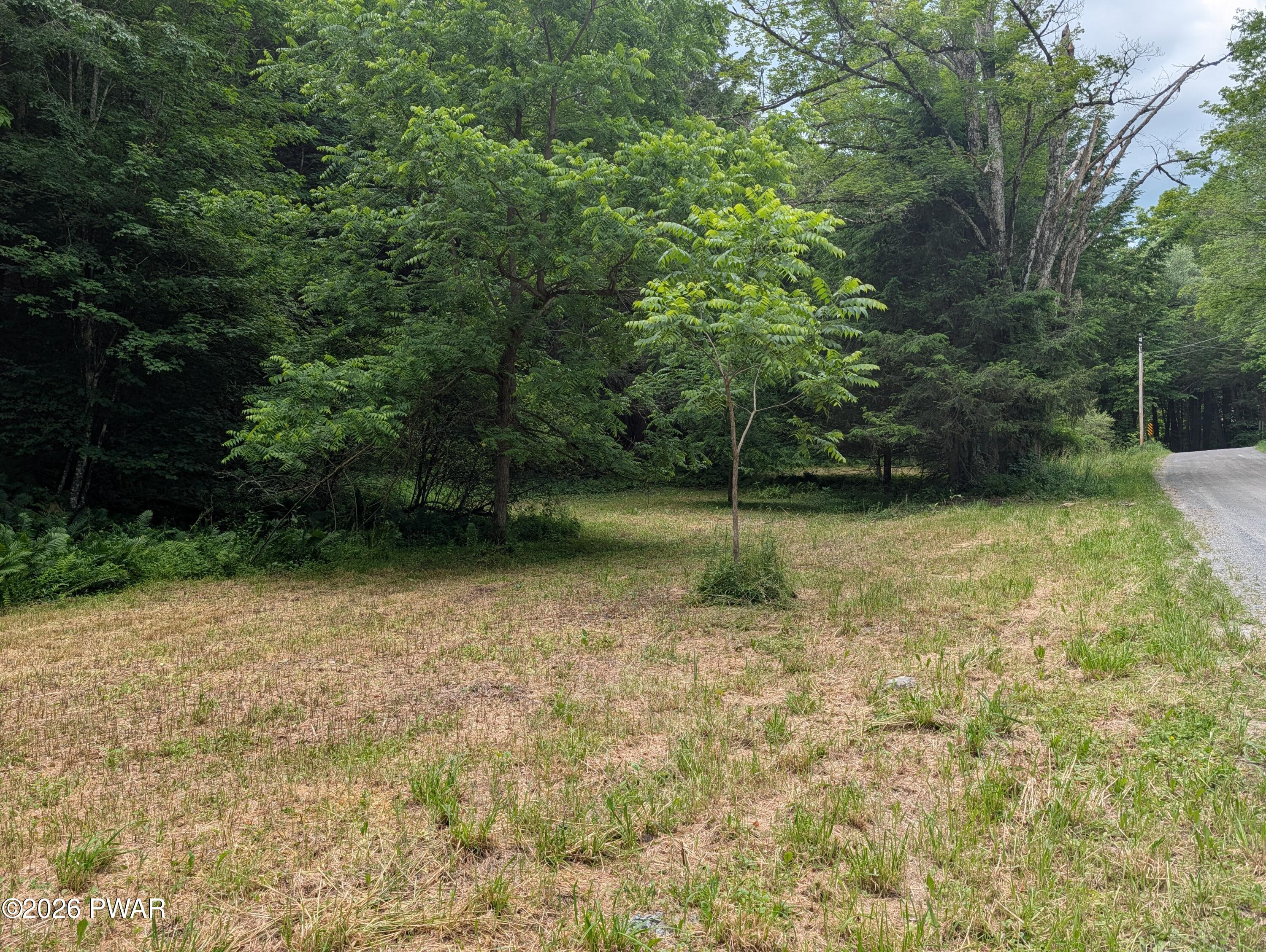 103 Hopkins Road Tyler Hill, PA 18469 - Photo 9 of 10