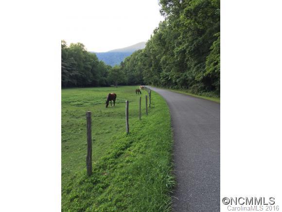 681 Laurel Ridge Road Columbus, NC 28722 - Photo 21 of 24 a view of a backyard