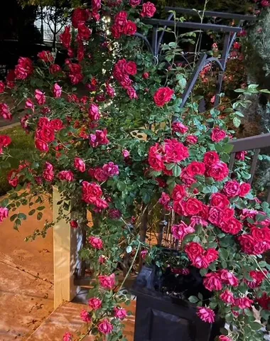 $549,000 | 4614 120th Place, Lubbock, TX 79424