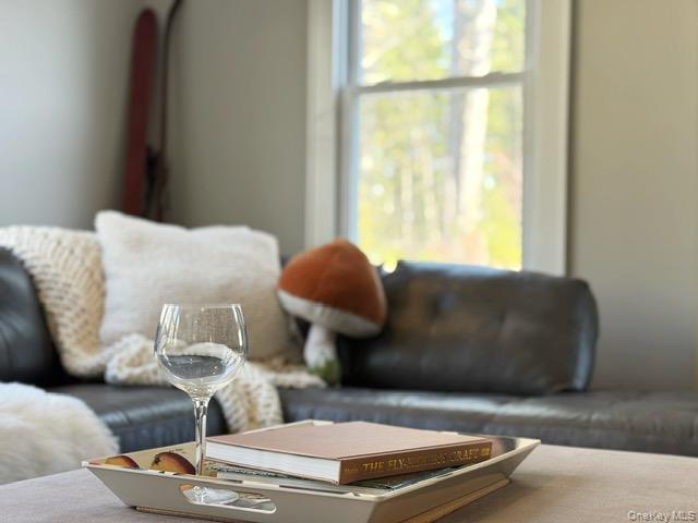 57 Inn Road Forestburgh, NY 12777 - Photo 14 of 49