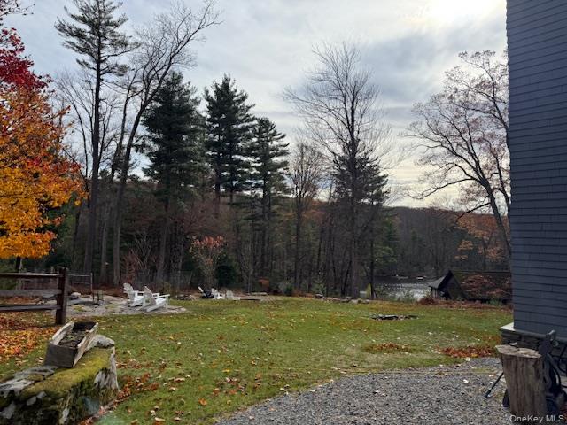 57 Inn Road Forestburgh, NY 12777 - Photo 22 of 49