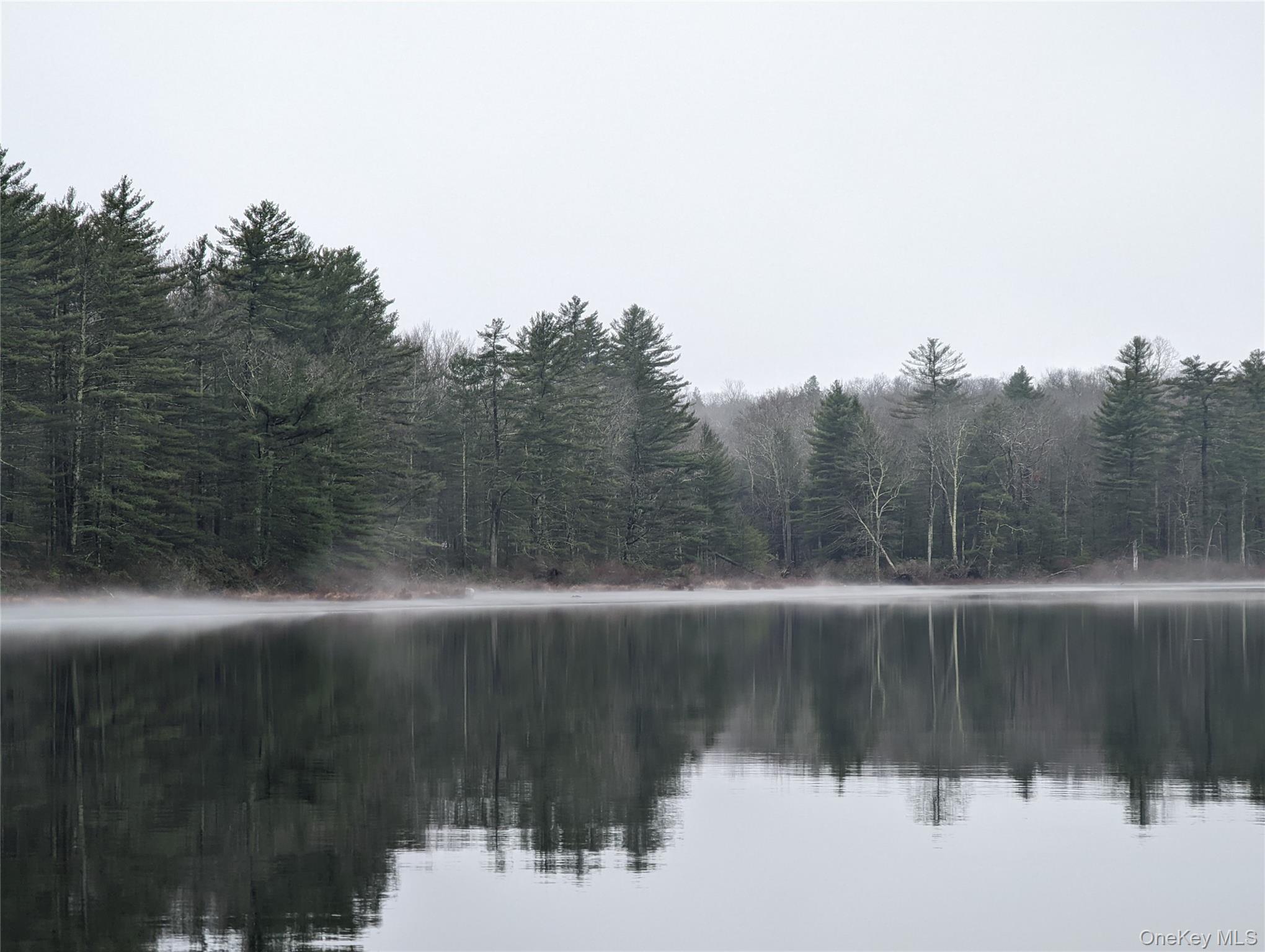 57 Inn Road Forestburgh, NY 12777 - Photo 47 of 49