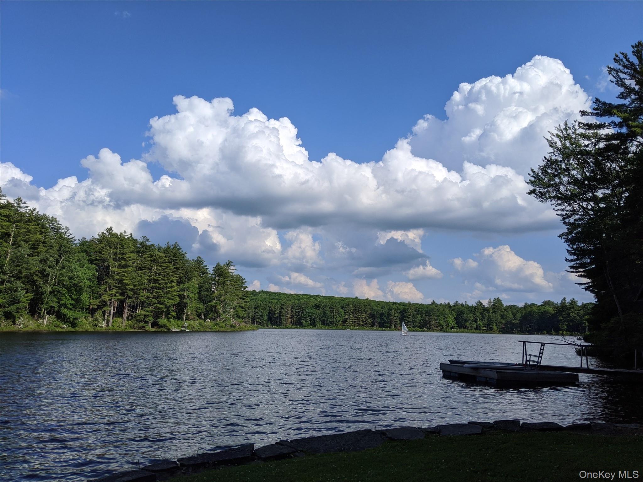 57 Inn Road Forestburgh, NY 12777 - Photo 8 of 49 a view of lake