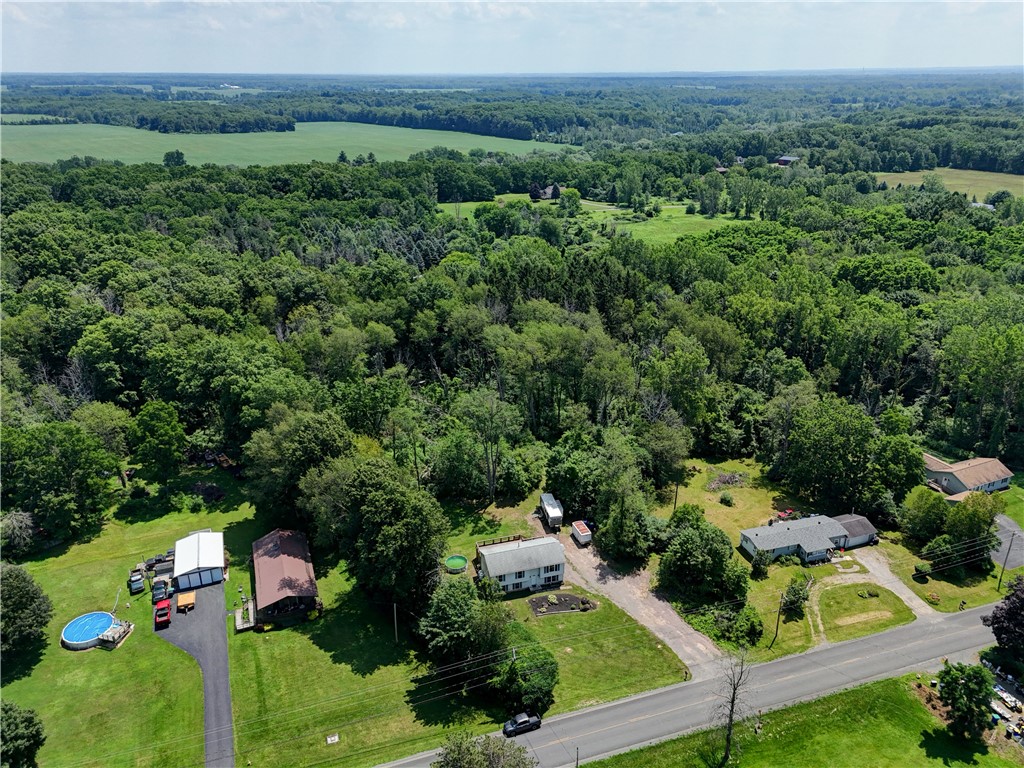 4919 Upper Holley Road Clarendon, NY 14470 - Photo 46 of 50
