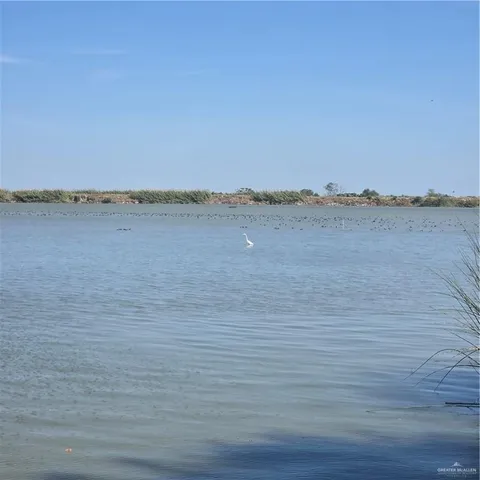 a view of entryway with wooden floor and a potted plant