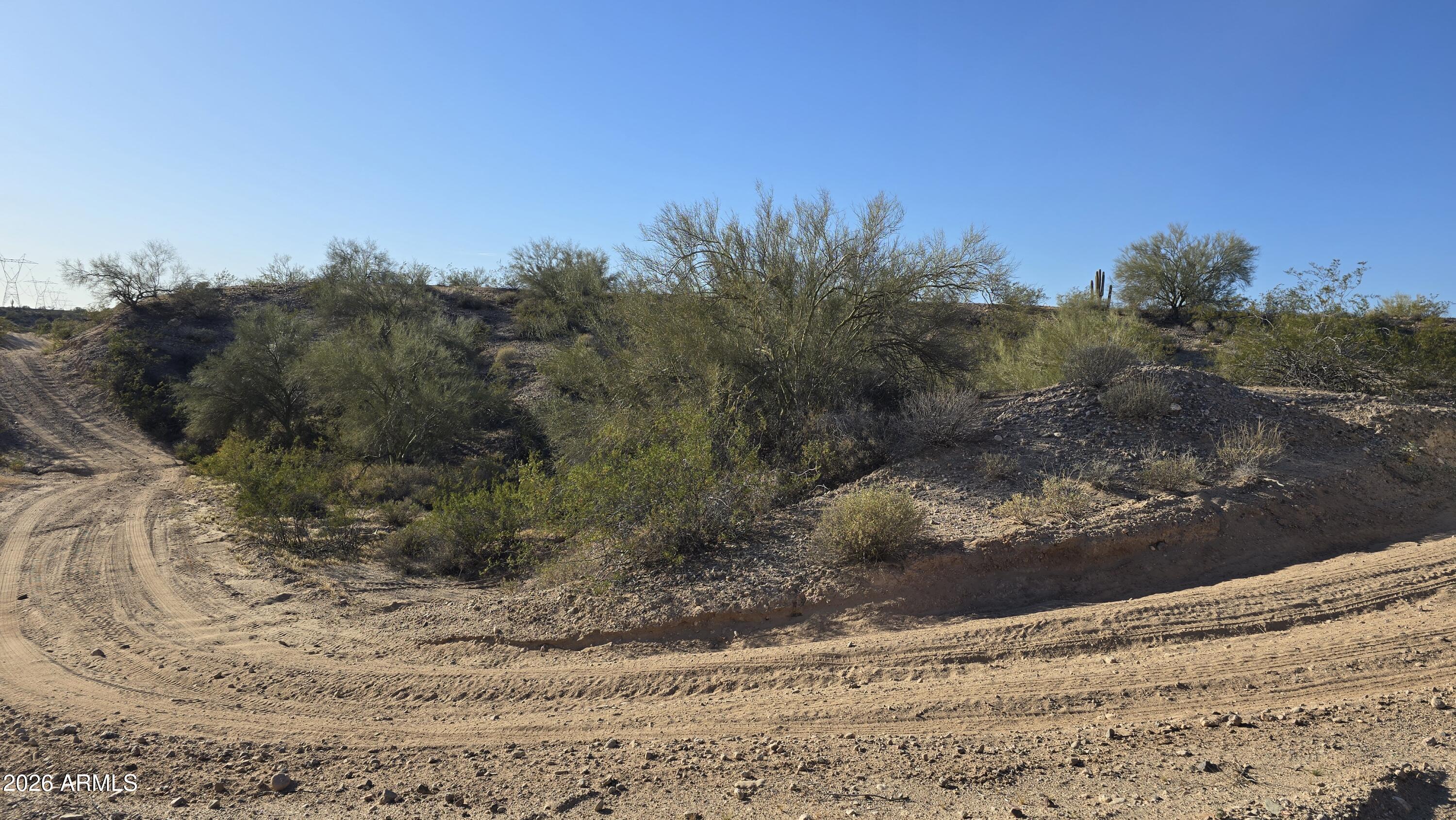 280-xx West Dove Valley Road, Unit 6 PARCELS Wittmann, AZ 85361 - Photo 13 of 25 a view of a yard with a tree