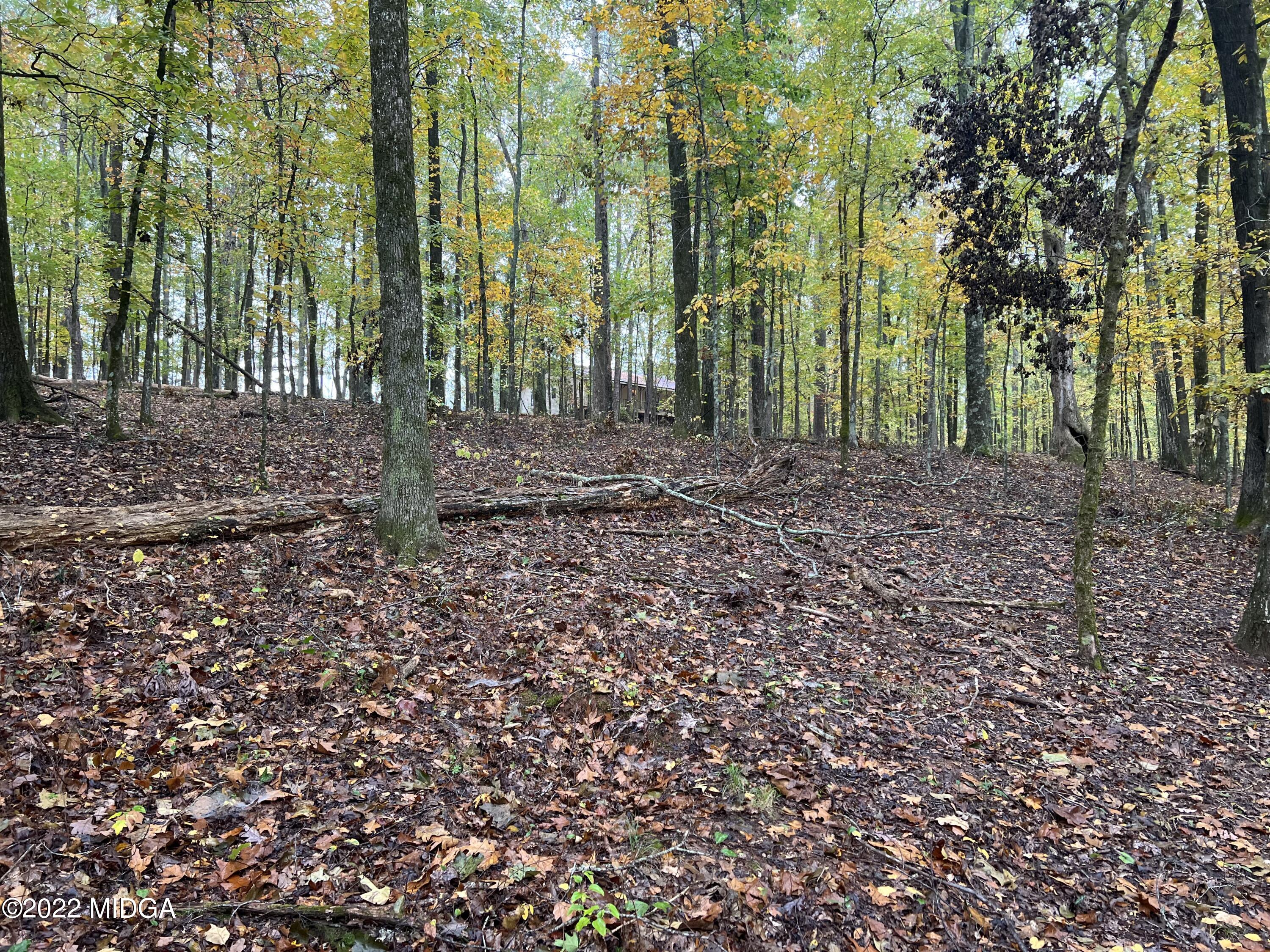 1387 Old Zebulon Road Forsyth, GA 31029 - Photo 11 of 21 Woods Behind House