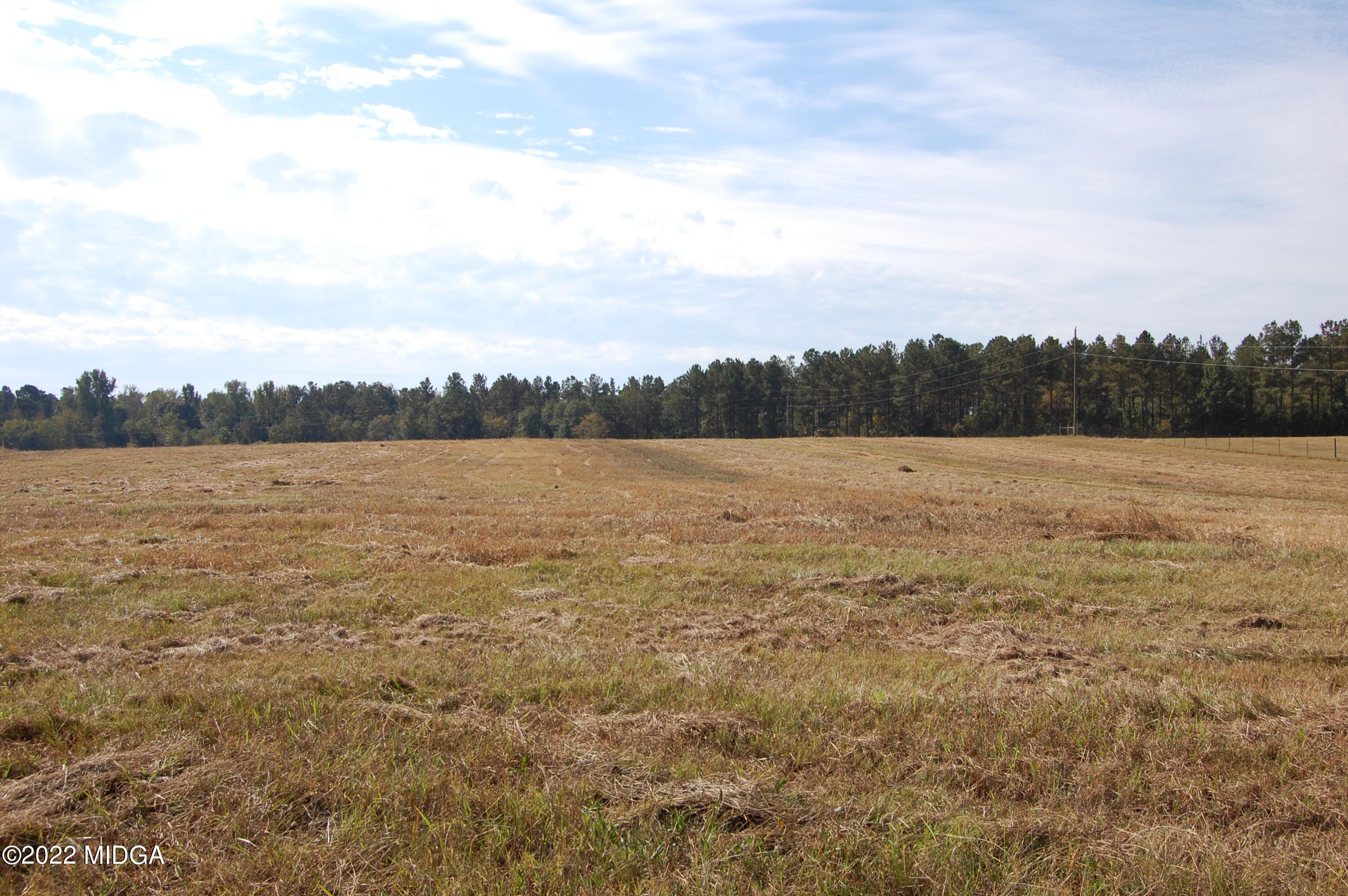 1387 Old Zebulon Road Forsyth, GA 31029 - Photo 8 of 21 Front Pasture