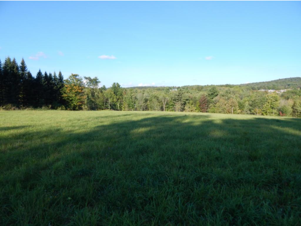 1360 N Road Fletcher, VT 05448 - Photo 2 of 17