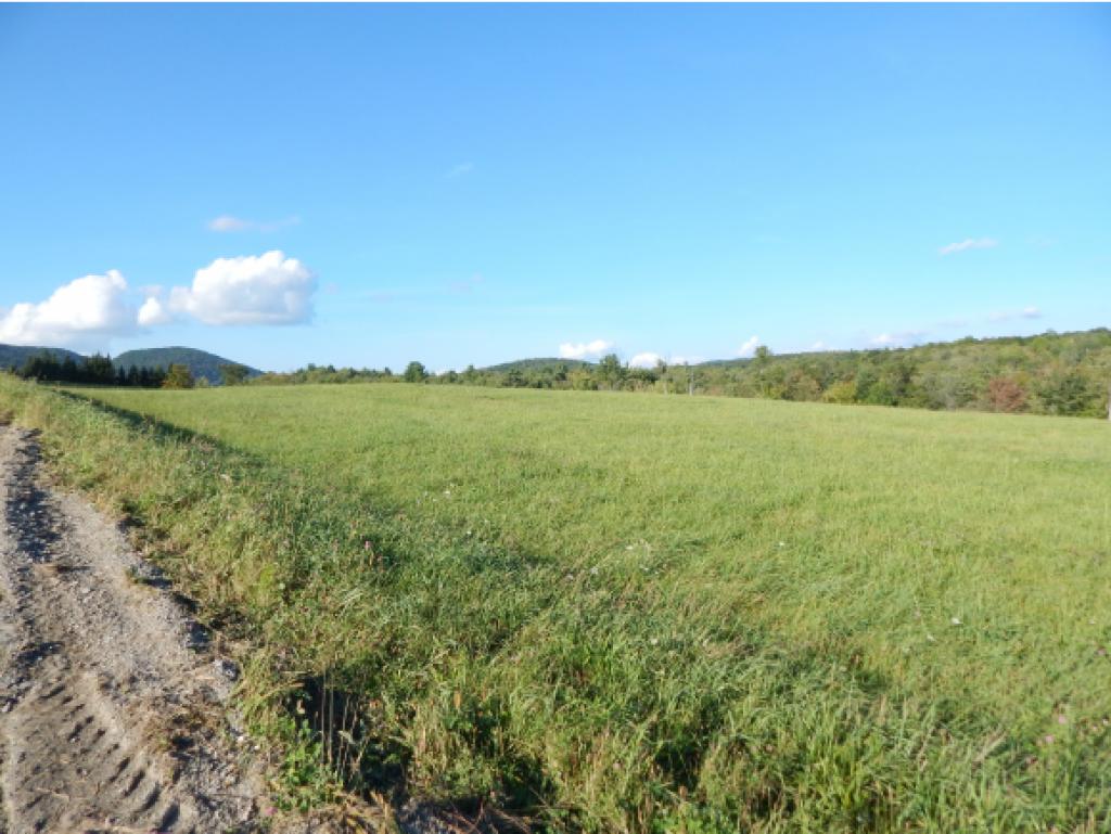 1360 N Road Fletcher, VT 05448 - Photo 13 of 17