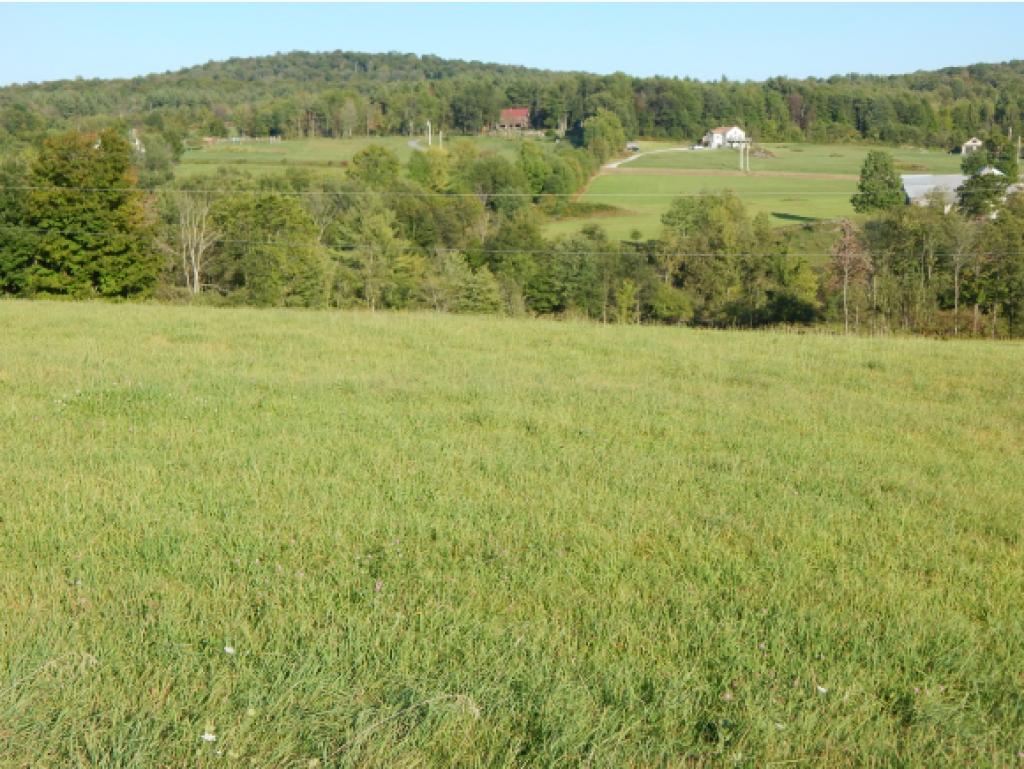 1360 N Road Fletcher, VT 05448 - Photo 14 of 17