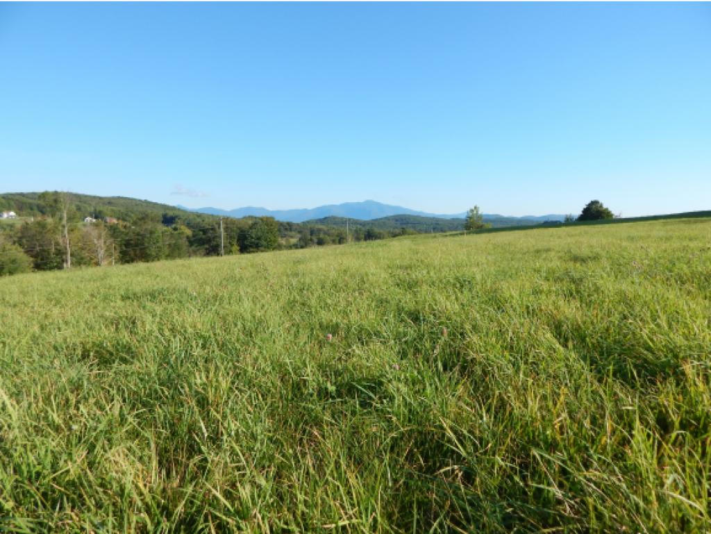 1360 N Road Fletcher, VT 05448 - Photo 15 of 17