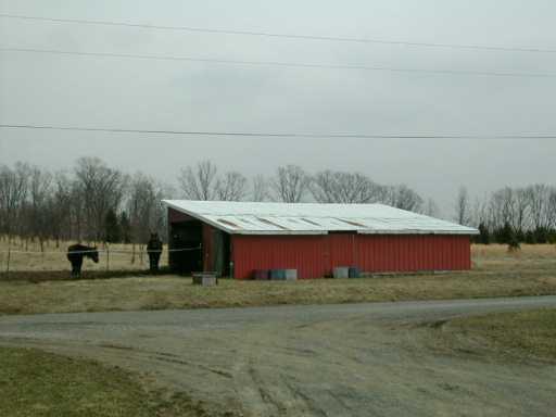 267 Milby Road Shelocta, PA 15774 - Photo 2 of 8 Yard/Garden.