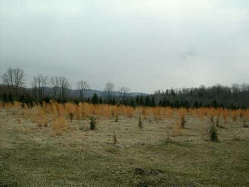 267 Milby Road Shelocta, PA 15774 - Photo 4 of 8 Other.