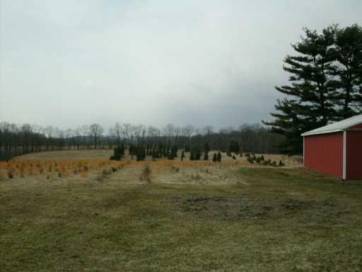 267 Milby Road Shelocta, PA 15774 - Photo 5 of 8 Other.