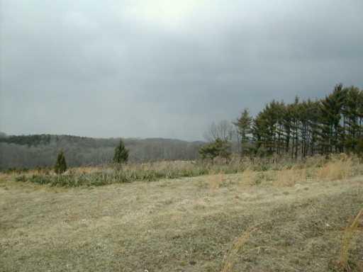 267 Milby Road Shelocta, PA 15774 - Photo 7 of 8 Other.