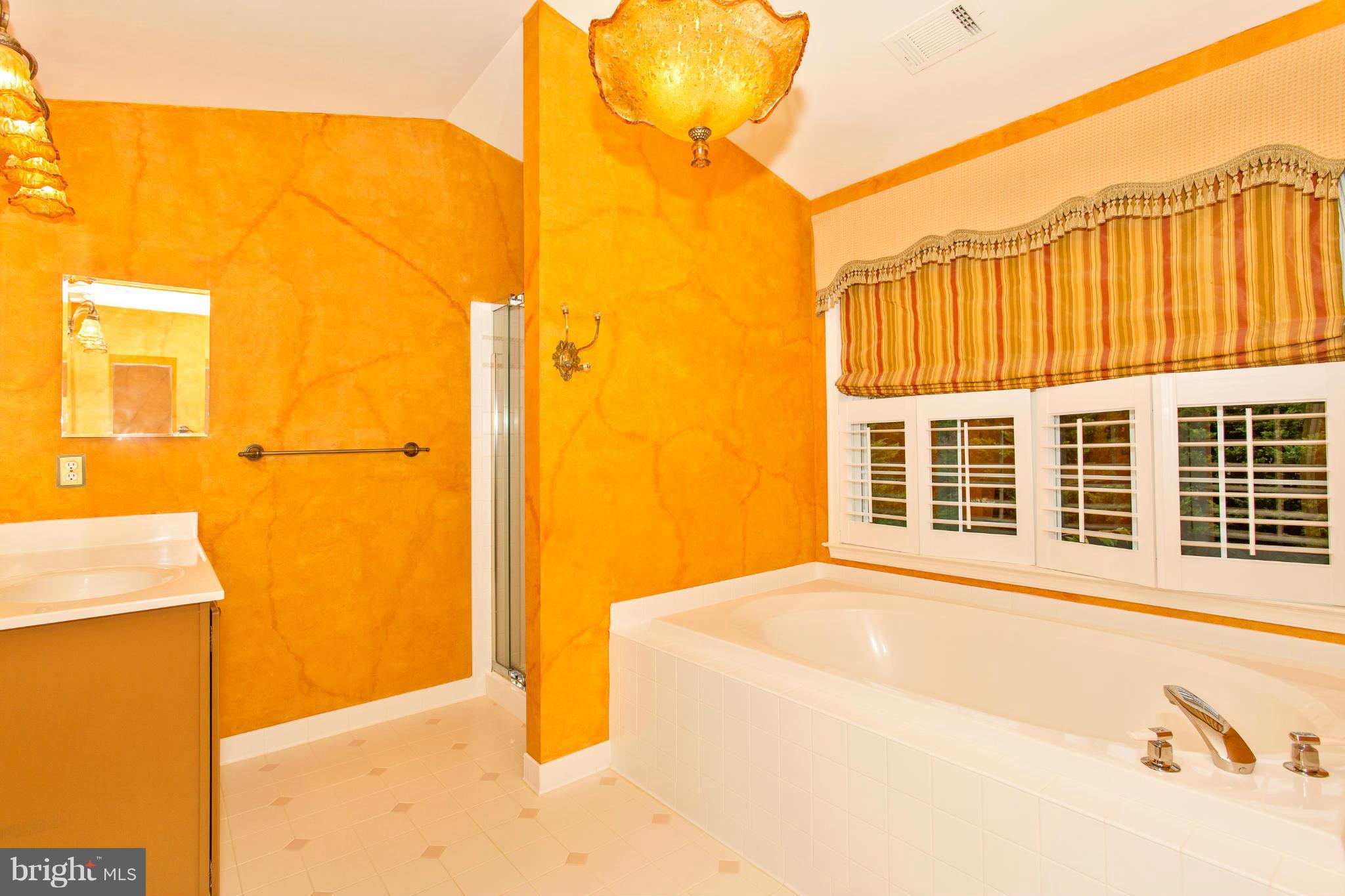 2596 Bear Den Road Frederick, MD 21701 - Photo 23 of 30 Bath (Master)