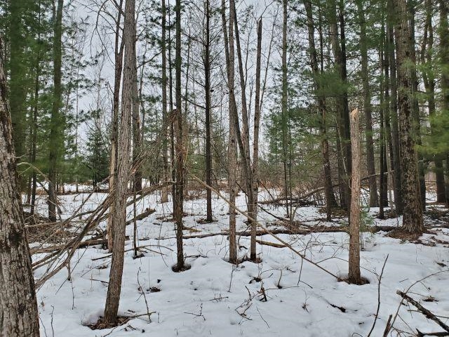 0 Rodnick Road Prescott, MI 48756 - Photo 4 of 8 1931232-a73cda48-7c24-4871-b596-4421716ab98e.JPG